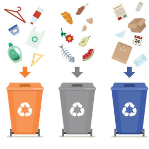 Illustration of 3 garbage/recycling bins on a white background depicting waste being sorted into Orange Bin labeled Plastic, Gray Bin labeled Organic and a Blue Bin labeled Paper